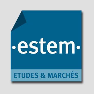 Estem /// logotype